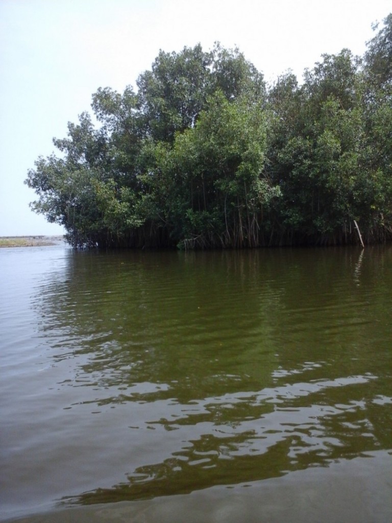 Article : Nostalgie climatique, poème d&rsquo;un défenseur de la nature qui s&rsquo;adresse à ses comtemporains.